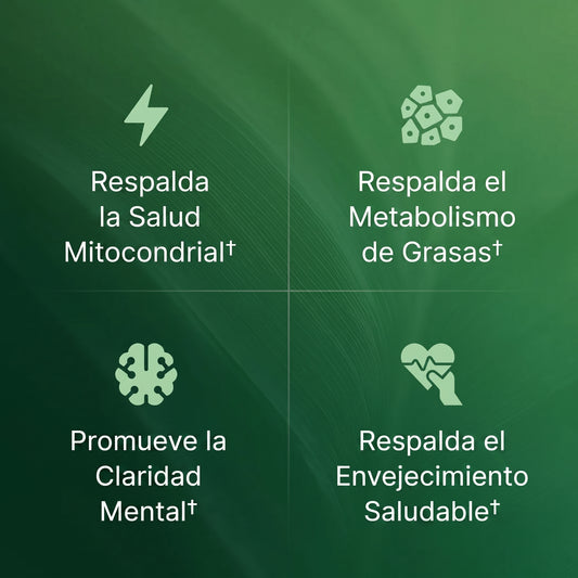 Amla Extracto de Superfruta O Positive