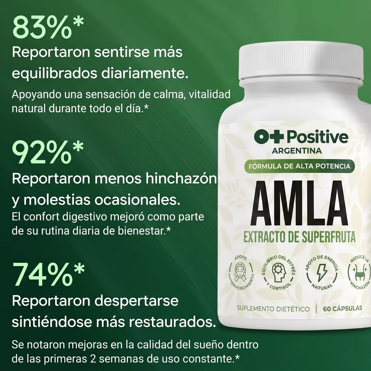 Amla Extracto de Superfruta O Positive