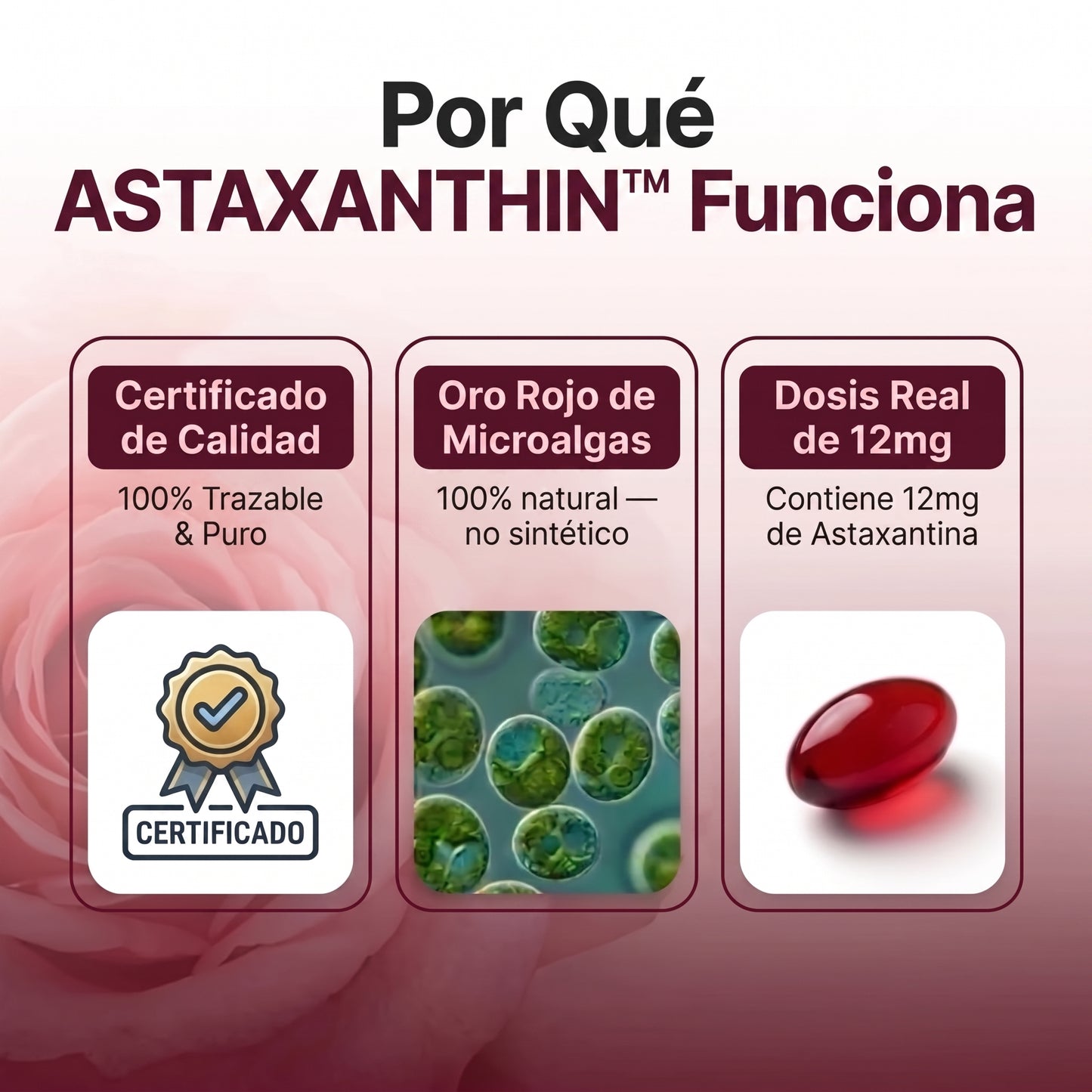 Astaxantina | Rejuvenece tu Piel en 30 días