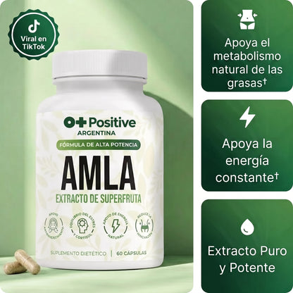 Amla Extracto de Superfruta O Positive