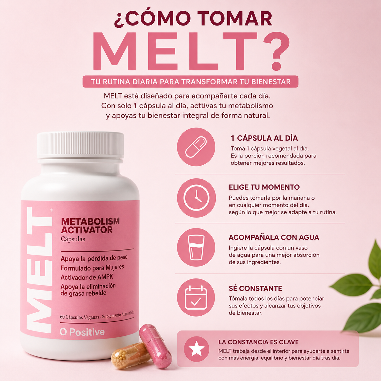 MELT | Recuperá tu figura y energía en Menopausia