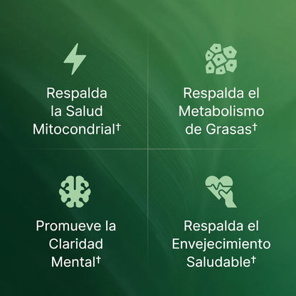 Amla Extracto de Superfruta O Positive