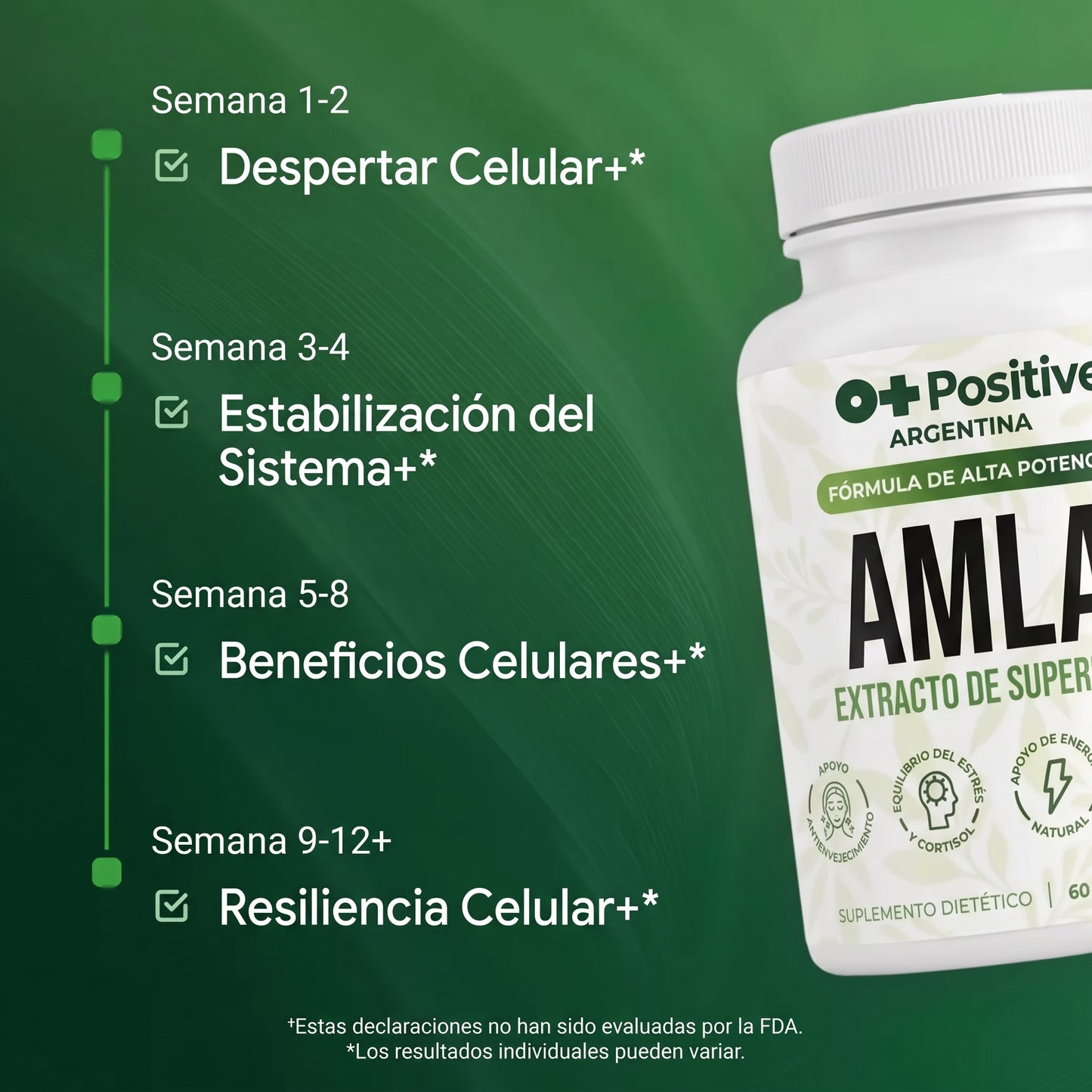 Amla Extracto de Superfruta O Positive