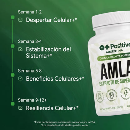 Amla Extracto de Superfruta O Positive