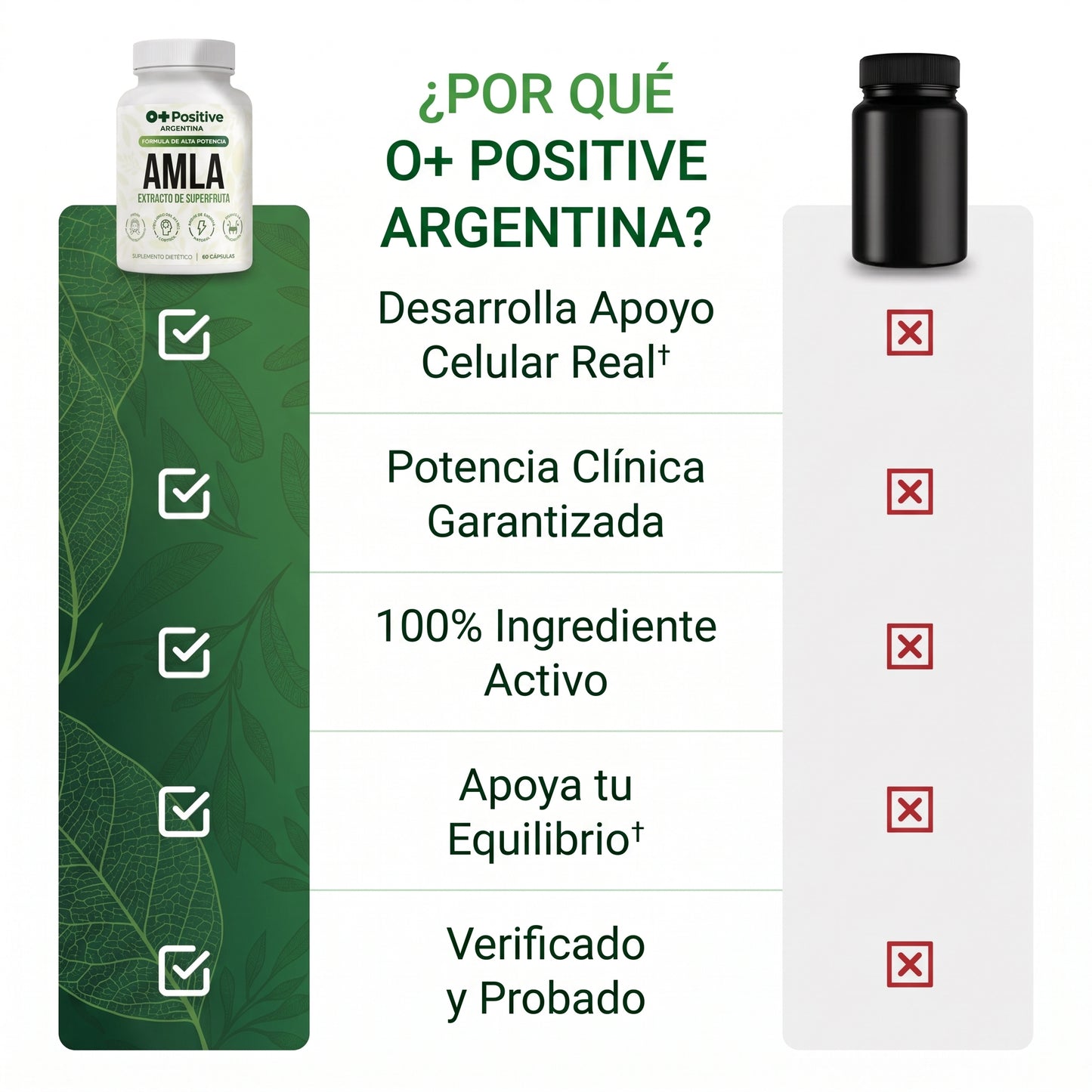 Amla Extracto de Superfruta O Positive